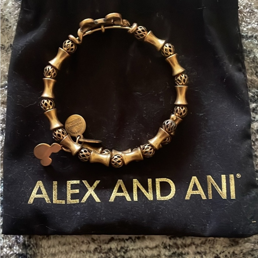 Alex and Ani Bronze-Toned Charm Bracelet